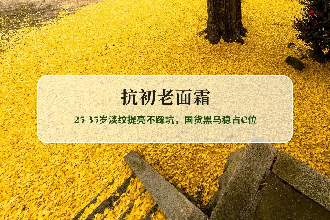 Ȧ-��ͼ - 2026-01-21T112818.664