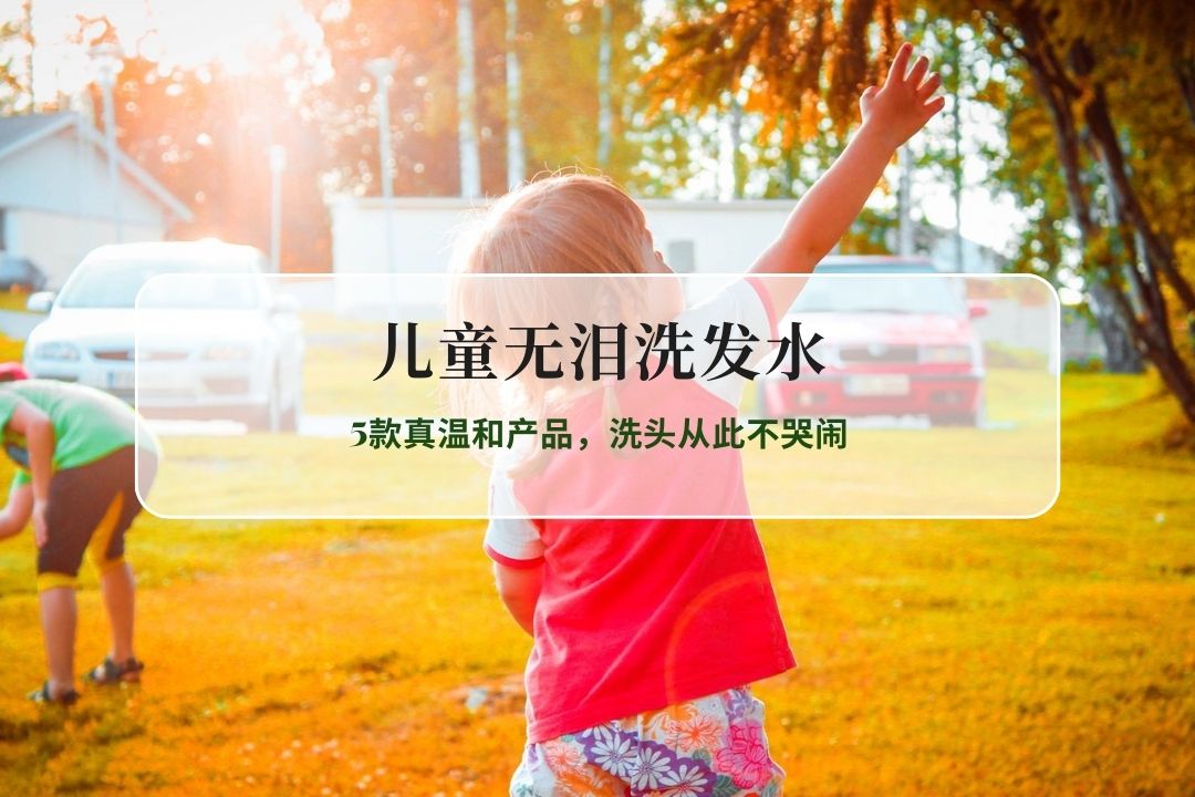 圈-中图 - 2026-02-10T110201.989