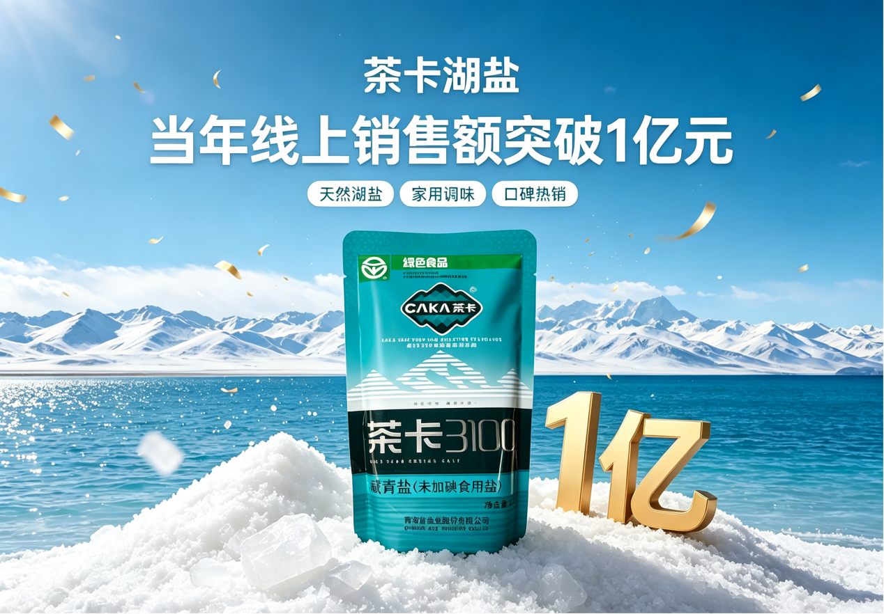 从22天一单到四大平台第一，这包盐用三年跑出了什么？